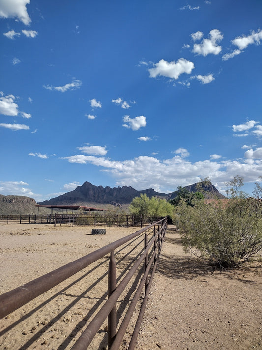 Mountain peaks in Tucson, Arizona, with a deep blue sky and a metal fence running through the desert.