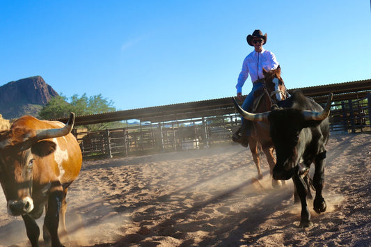 White Stallion Ranch, Tucson AZ